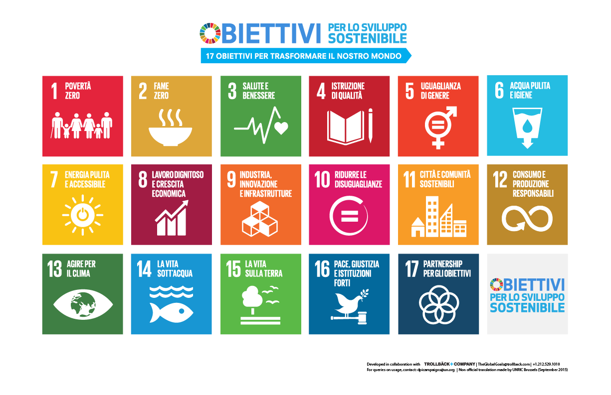 L' Agenda 2030 per lo sviluppo sostenibile  (4a ed.)