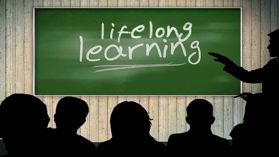 Educazione degli adulti, lifelong learning e approcci per competenze (6a ed.)